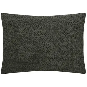 ESSIX Housse de Coussin Unie en Coton, Songe, 40x60cm