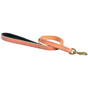 Laisse pour chien 3 positions Bobby Walk Beige 2x100 cm LSCLASS_11_100 pas cher