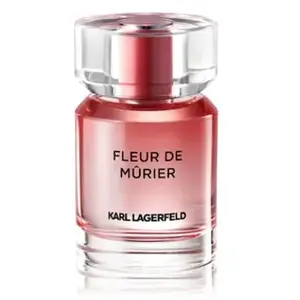 Comparateur de prix : Karl Eau de Parfum Homme 1 Unité 50 ml
