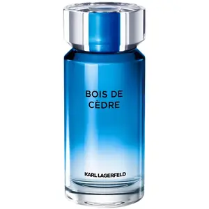 Karl Lagerfeld Bois De Cèdre Eau de Toilette pour homme 100 ml pas cher