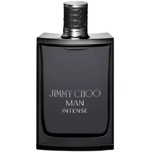 Comparateur de prix : Eau de toilette - JIMMY CHOO - JIMMY CHOO MAN INTENSE - 100 ml - boisé