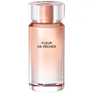 Comparateur de prix : Parfum Femme Fleur De Pech?r Lagerfeld EDP (100 ml)