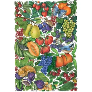 SentoSphere 500 p Les fruits d'ete Calypto pas cher