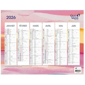 Calendrier mural Quovadis 27 x 21cm pas cher
