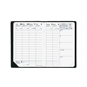 Recharge QuoVadis Agenda Affaires 10x15cm 2010