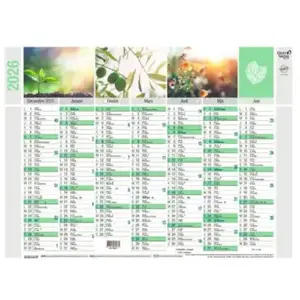 Calendrier annuel Quo Vadis Equology - 55 x 40,5 cm pas cher