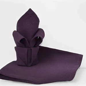 CALITEX Lot de 12 serviettes de table carré en coton aubergine 44 x 44 cm pas cher