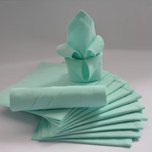 Calitex Lot de 12 serviettes de table ARC EN CIEL vert d'eau 44 x 44 cm pas cher
