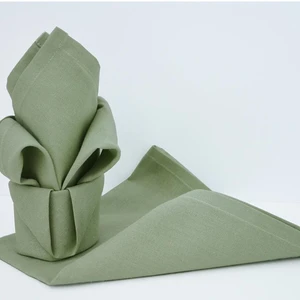 Calitex Lot de 12 serviettes de table ARC EN CIEL Céladon 44 x 44 cm pas cher