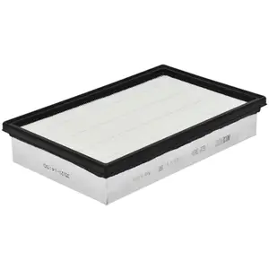Filtre à air MECAFILTER ELP3891 - Réf. ELP3891 pas cher