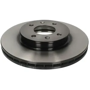 Jeu de 2 disques de frein TRW DF4839 - Réf. 1083780 pas cher