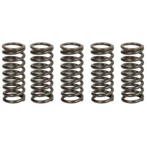 Ressorts d'embrayage TRW MEF304-5 pas cher