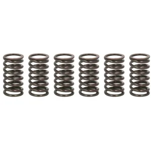 Jeu de ressorts d'embrayage TRW MEF317-6 pas cher