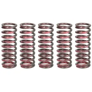 Ressorts d'embrayage TRW MEF315-5 pas cher