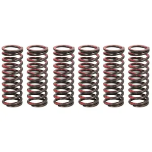 Ressorts d'embrayage TRW MEF307-6 pas cher