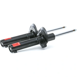 TRW Amortisseurs pour SEAT: Leon, Altea, Toledo (Ref: JGM1058T) pas cher