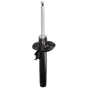 Amortisseur TRW JGM1114S pas cher