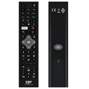 CGV Télécommande de Remplacement - Fidelio Philips pas cher