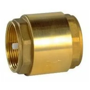 Clapet anti-retour laiton FF 26-34 DipraVendu paramazon