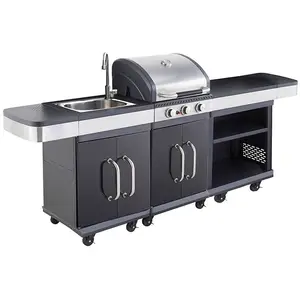 Barbecue Gaz Cuisine Exterieure + Robinet Cook N Eat CuisineVendu parelectro-depot