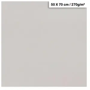 Clairefontaine Papier Maya - 270g - Gris clair - 50 x 70 cm