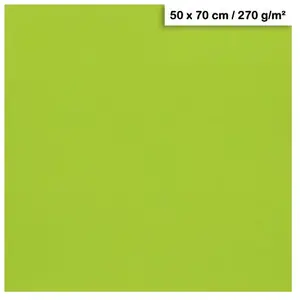 Clairefontaine Papier Maya - 270g - Vert mousse - 50 x 70 cmVendu parscrapmalin