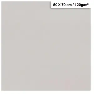 Clairefontaine Papier Maya - 120g - Gris clair - 50 x 70 cmVendu parscrapmalin