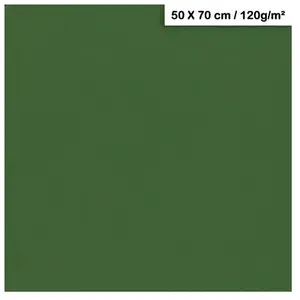 Clairefontaine Papier Maya - 120g - Vert antique - 50 x 70 cmVendu parscrapmalin