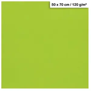 Clairefontaine Papier Maya - 120g - Vert mousse - 50 x 70 cmVendu parscrapmalin