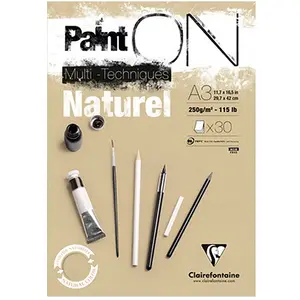 Clairefontaine Paint'On Glued Pad Carnet de croquis A3 250 g pas cher