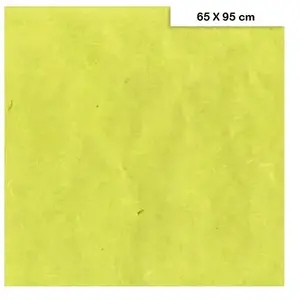 Clairefontaine Papier Mûrier 25g/m² - Vert anis - 65 x 95 cm