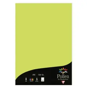 Etui de 50 feuilles Clairefontaine A4 Pollen Vert Bourgeon