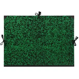 Clairefontaine 32800C Carton à Dessin Annonay 3 Cordons 52x72cm Vert pas cher