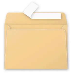 Comparateur de prix : Paquet 20 enveloppes Pollen 114x162mm C6 Caramel 120g