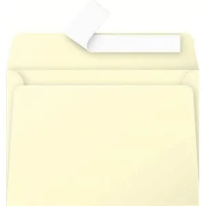 Comparateur de prix : Pollen Enveloppe 120g 114x162 canari pqt 20