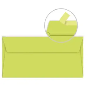 Comparateur de prix : Enveloppe Pollen Clairefontaine vert bourgeon 110 x 220 mm - Paquet de 20