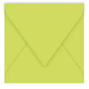 Pack de 20 enveloppes Pollen 140 x 140 mm Vert Bourgeon pas cher