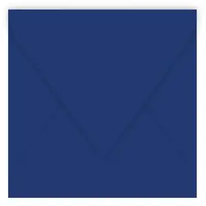 Paquet de 20 enveloppes Pollen 140x140mm Bleu Nuit 120g pas cher