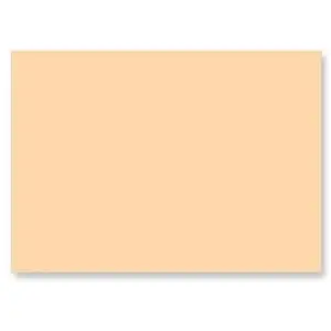 ClaireFontaine Carte Faire Part Pollen 210g 110 X 155mm Par 25 Opaline pas cher