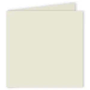 Clairefontaine Pollen - 25 cartes doubles carrées 13.5 x 13.5 cm - Gris perle
