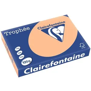 Comparateur de prix : Clairefontaine 250 Feuilles A4 - 120G - Couleurs Pastels - Abricot - Trophée