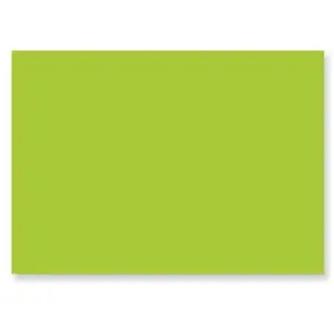 Comparateur de prix : Pollen - 25 cartes rectangulaires 8.2 x 12.8 cm - vert menthe