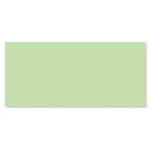 Clairefontaine - Papier Pollen carte 106 x 213 mm - Vert - 25 pcs