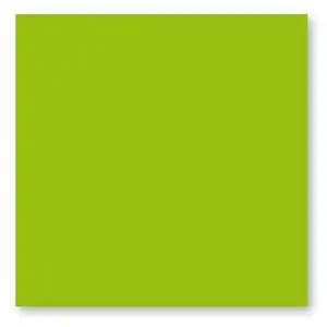 Comparateur de prix : Clairefontaine Paquet de 25 cartes simples Pollen 135x135mm Vert Menthe 210g