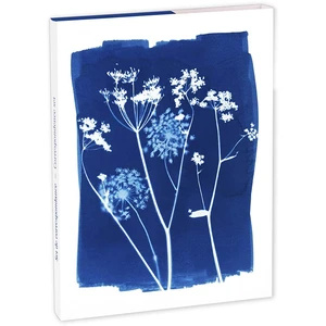 Clairefontaine Set de correspondance Cyanotype 12 x 16,5 cm