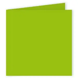 Paquet de 25 cartes pliées Pollen 160x160mm Vert Menthe 210g