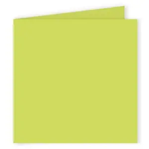 Comparateur de prix : Pollen - 25 cartes doubles carrées 13.5 x 13.5 cm - Vert bourgeon