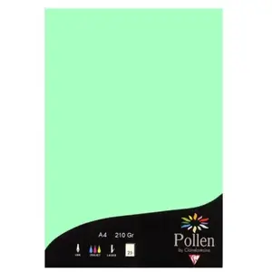 Comparateur de prix : ClaireFontaine Clairefontaine Etui De 25 Feuilles 210x297 Vert Jade 210g