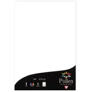 Clairefontaine Feuille 210 Grs A4 ( Lot De 25 ) Le Geant De La Fete