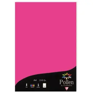 Etui 25F - CLAIREFONTAINE - Pollen - 210x297 mm - Rose fuchsia - Papier 210g